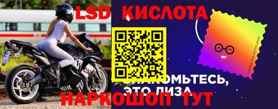 ПСИЛОЦИБИНОВЫЕ ГРИБЫ Кинель
