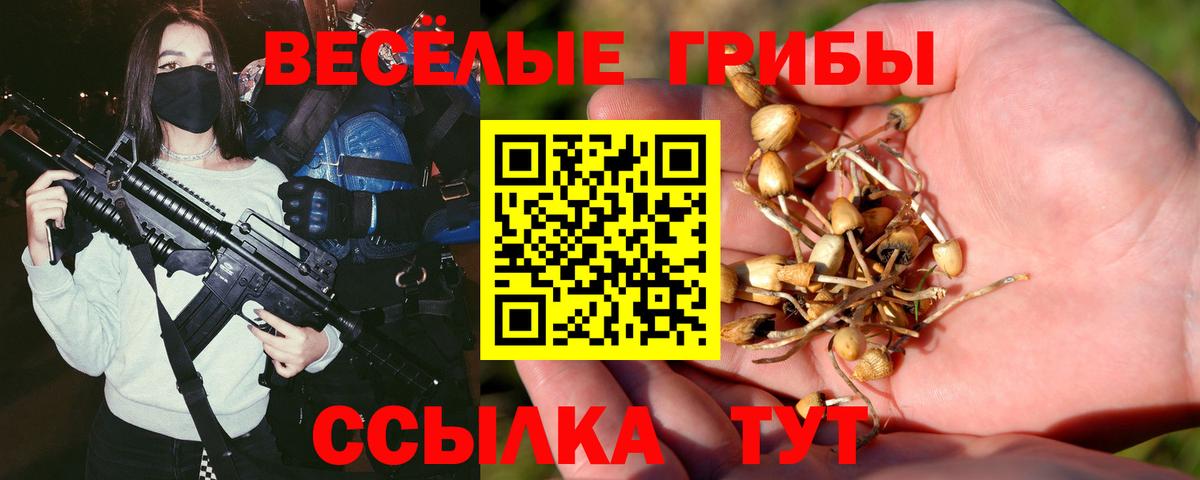 Псилоцибиновые грибы ЛСД  Вход с VPN  Красный Сулин  Псилоцибиновые грибы GOLDEN TEACHER 